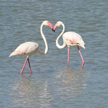 Location En La Mejor Ubicacion De Con Parking Apartment Calpe