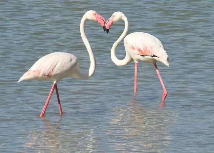 Location En La Mejor Ubicacion De Con Parking Apartment Calpe